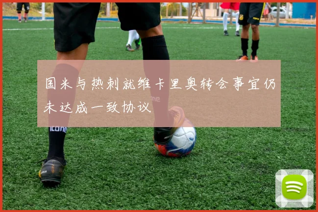 国米与热刺就维卡里奥转会事宜仍未达成一致协议